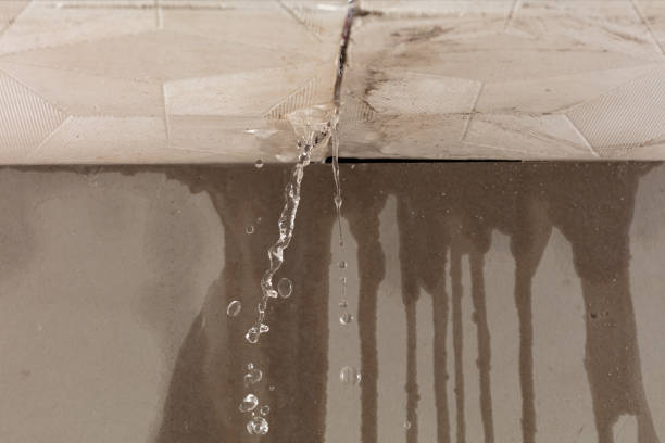 Professional Sewage Cleanup technician working in Madison Heights, VA